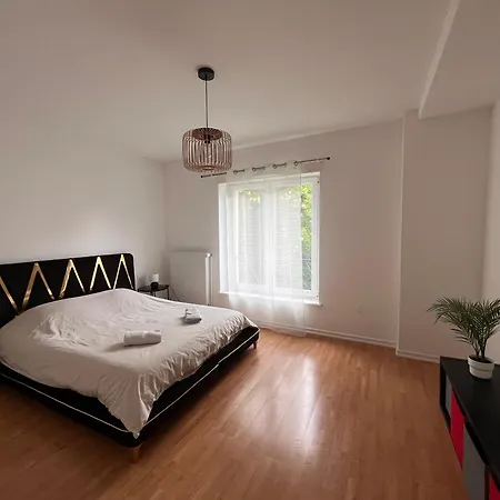 Apartment Grand 120 M2, 3 Chambres, 6 Pers, 15 Min De Strasbourg