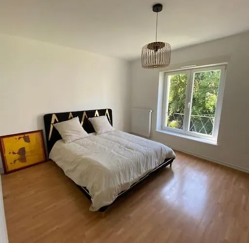 Grand Sur A Proximite Du Centre De Strasbourg Schiltigheim